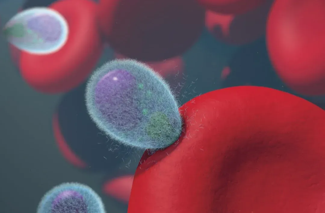 Blood, Biomarkers And The Race To Measure Biological Age (Image Credits: Unsplash)