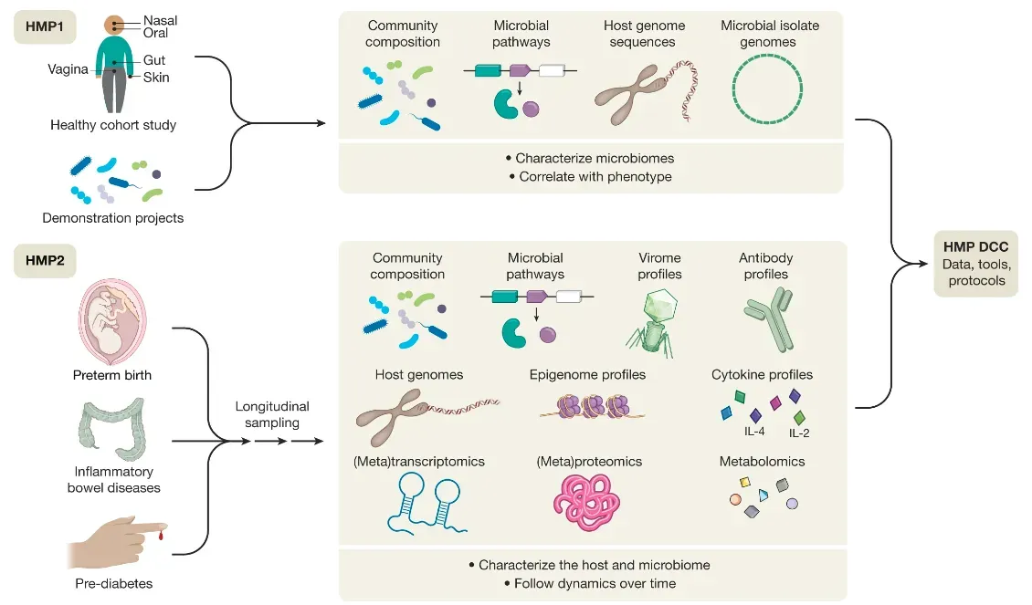 Microbial Cities Inside Us (Image Credits: Wikimedia)