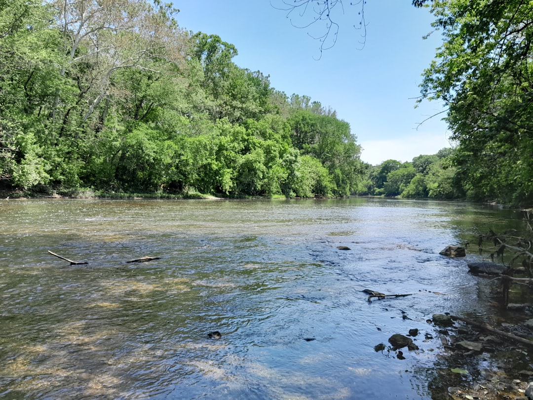 North Fork Shenandoah River: Virginia's Clogged Waterway (Image Credits: Unsplash)