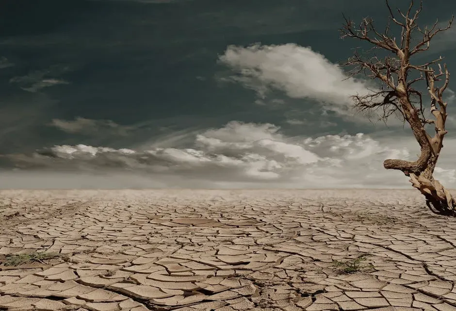 Droughts and Dust Storms: When Rain Disappears and Land Fights Back (Image Credits: Pexels)
