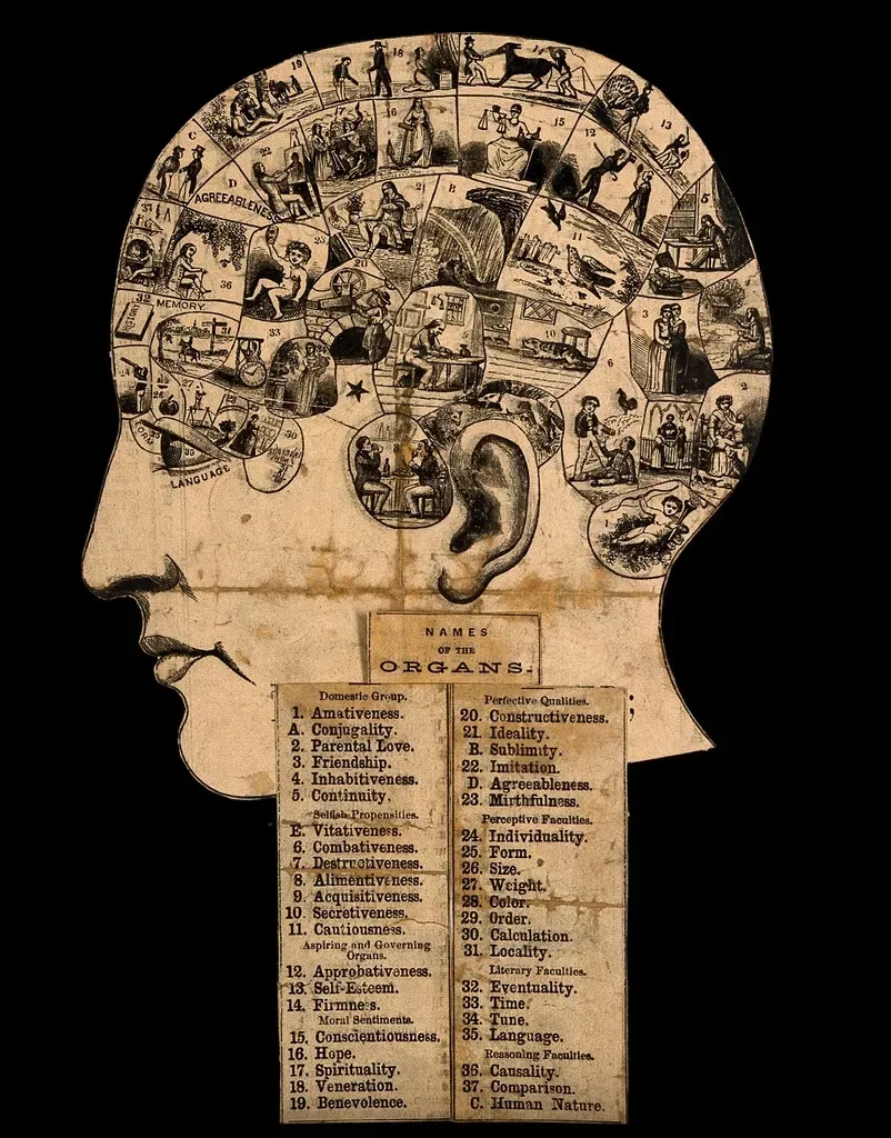 How Readers Can Help Carry This Knowledge Forward (Image Credits: Rawpixel)