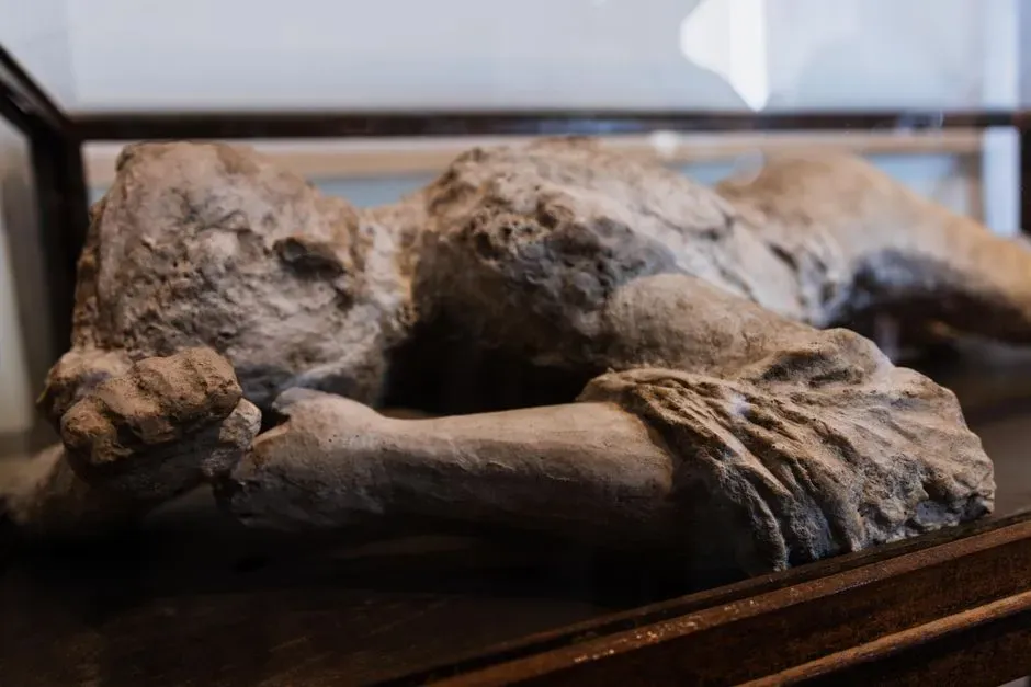 #2 - Museums Have Literally Let the Public Vote on Whether the Dead Stay on Display (Image Credits: Pexels)