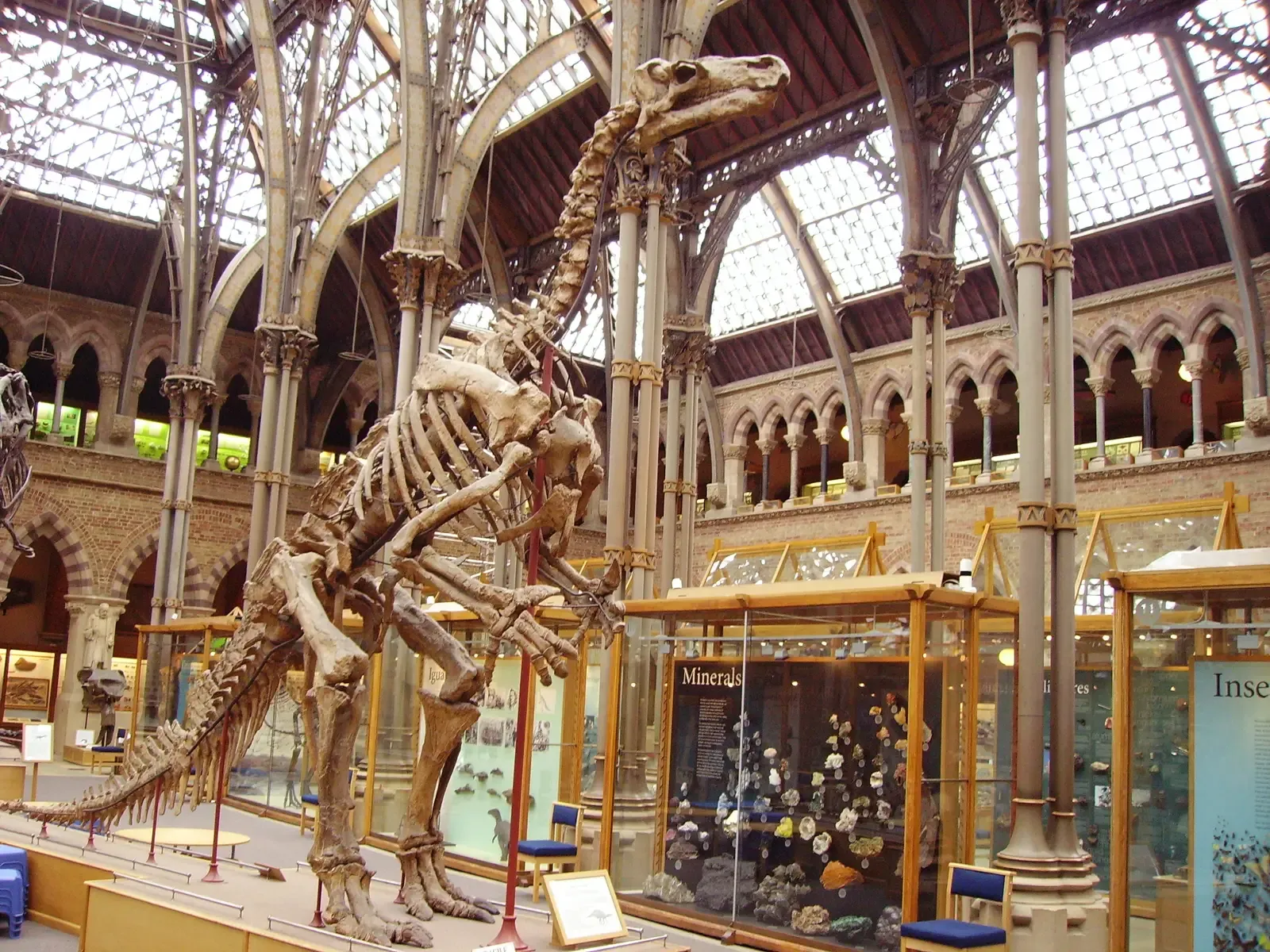 #11 - Iguanodon's Vanishing Kangaroo Pose (Transferred from en.wikipedia to Commons by FunkMonk using CommonsHelper., CC BY-SA 3.0)