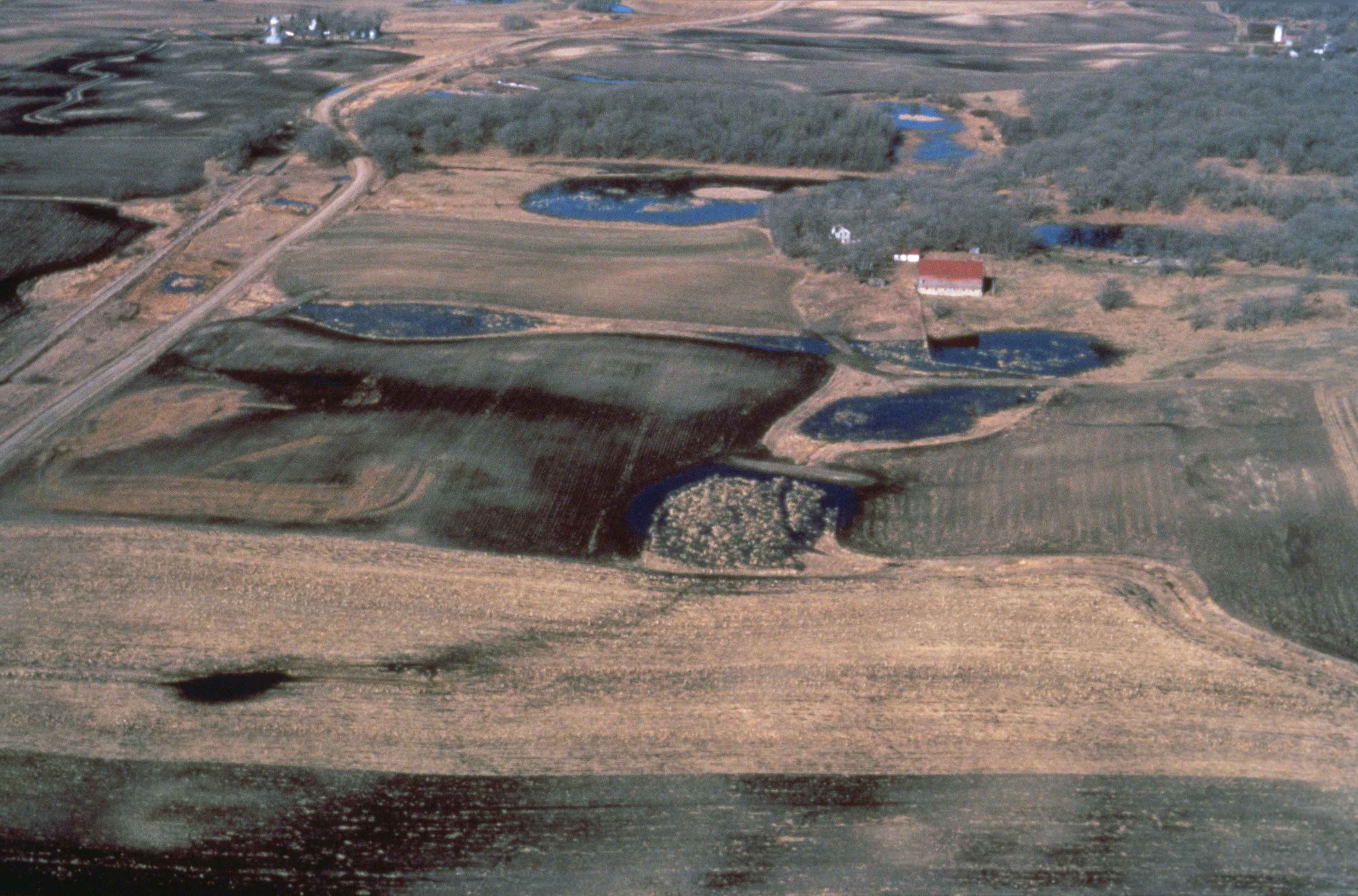 South Bay Salt Ponds, California: From White Crust to Green Tidal Marsh (Image Credits: Wikimedia)