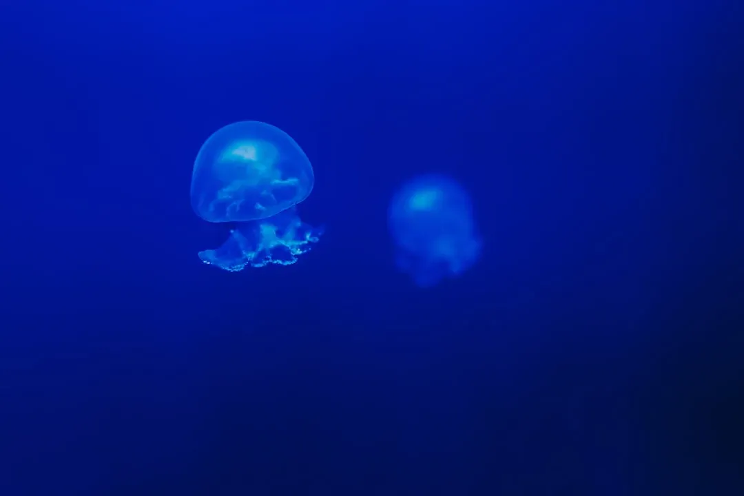 Life Under Crushing Pressure (Image Credits: Unsplash)