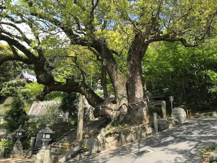 Cultural Memory: Why These Trees Matter to Your Stories (Image Credits: Pexels)