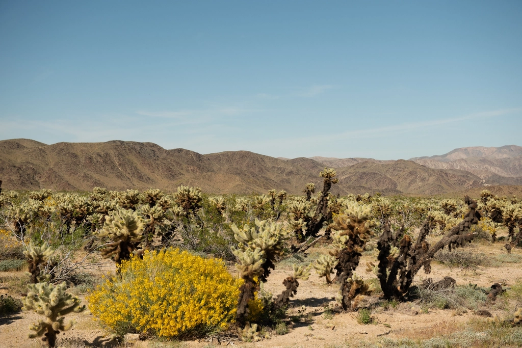 Why It Matters (Image Credits: Rawpixel)