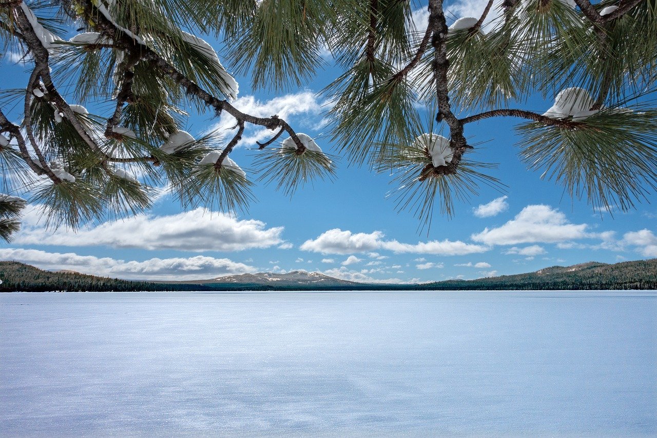 Conclusion (Image Credits: Pixabay)