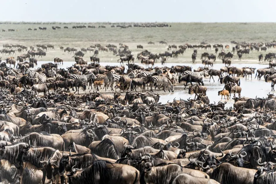 5. Mass Animal Migrations: Built-In GPS with No Manual (Image Credits: Pexels)