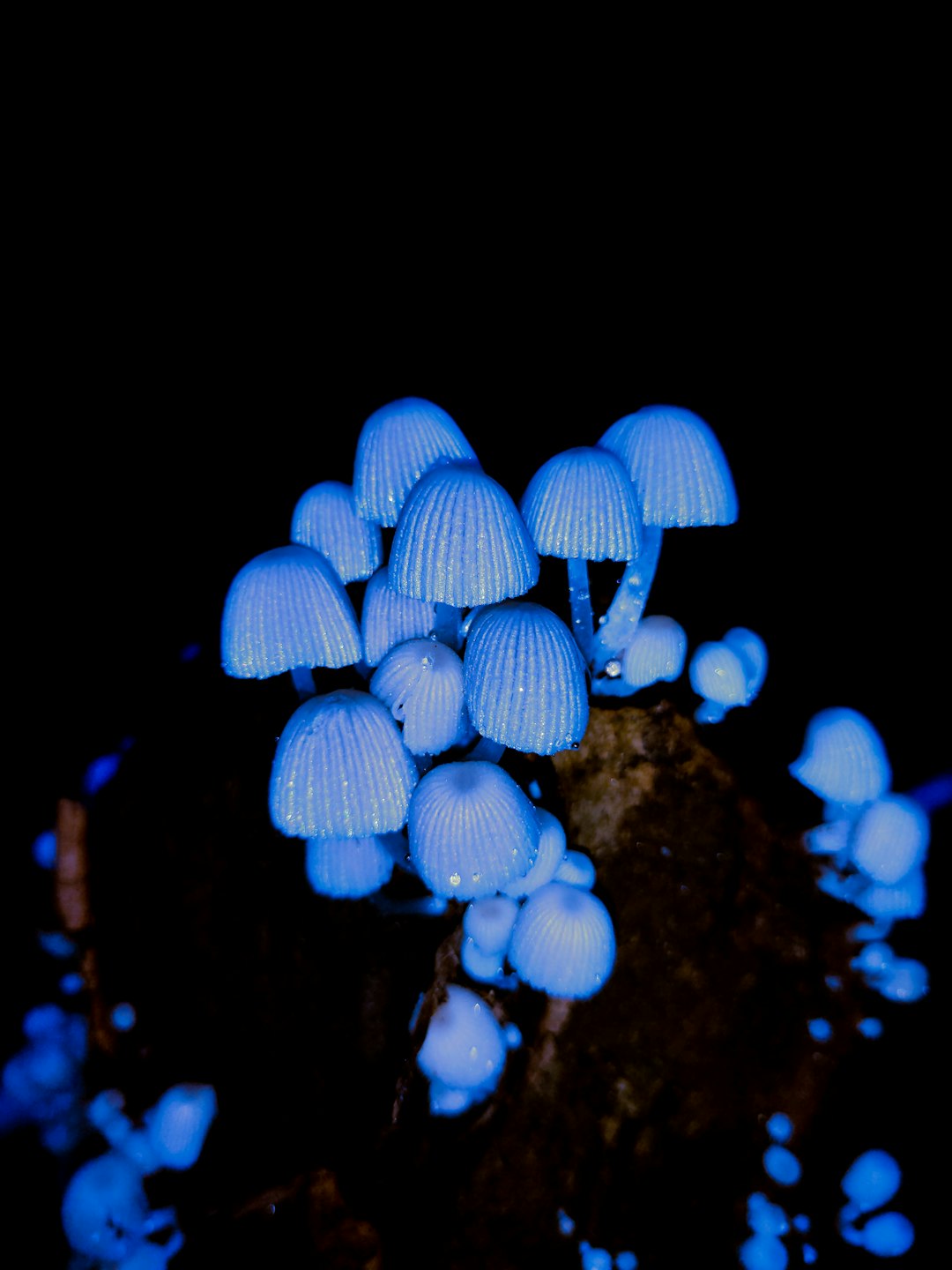 The Hidden Clues (Image Credits: Unsplash)