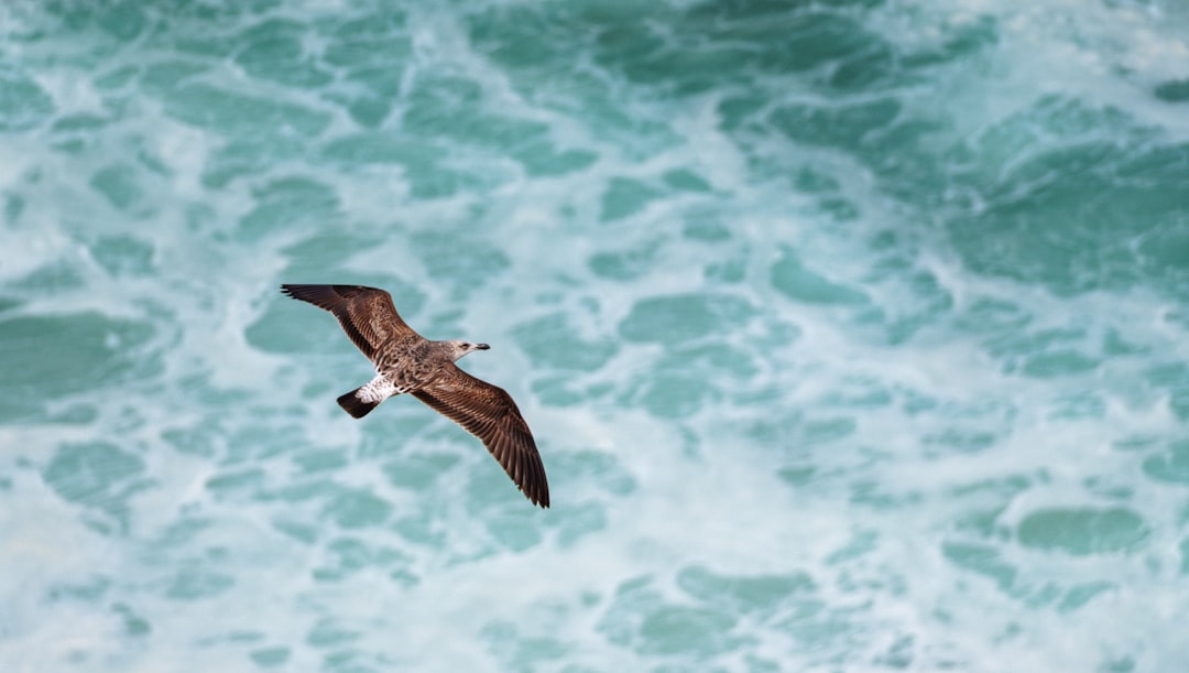 Conclusion (Image Credits: Unsplash)