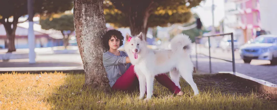 Opinionated Conclusion: Your Dog Is Not a Fortune Teller, But They Are a Mirror (Image Credits: Stocksnap)
