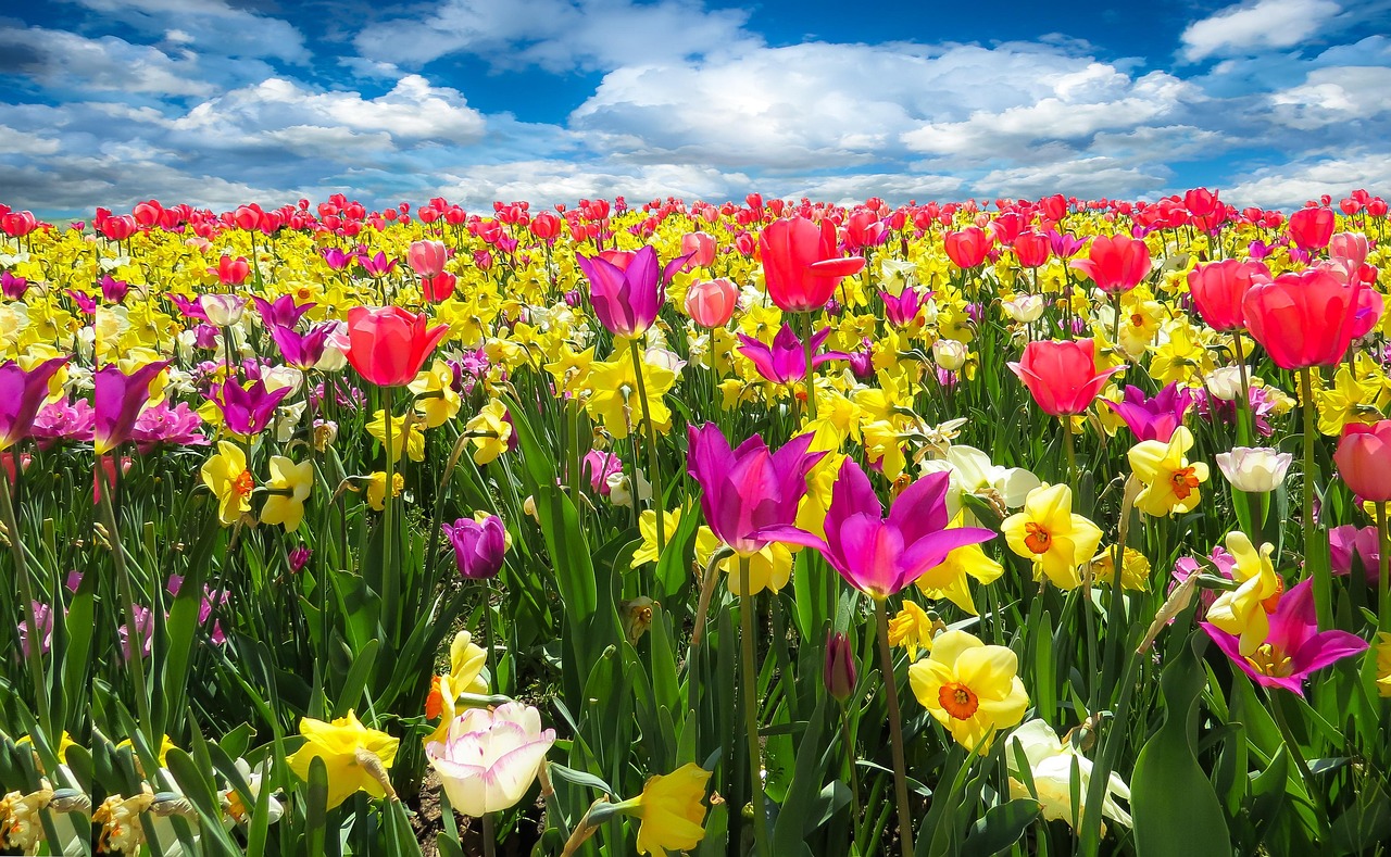 Taurus - The Lush Garden Sanctuary (Image Credits: Pixabay)