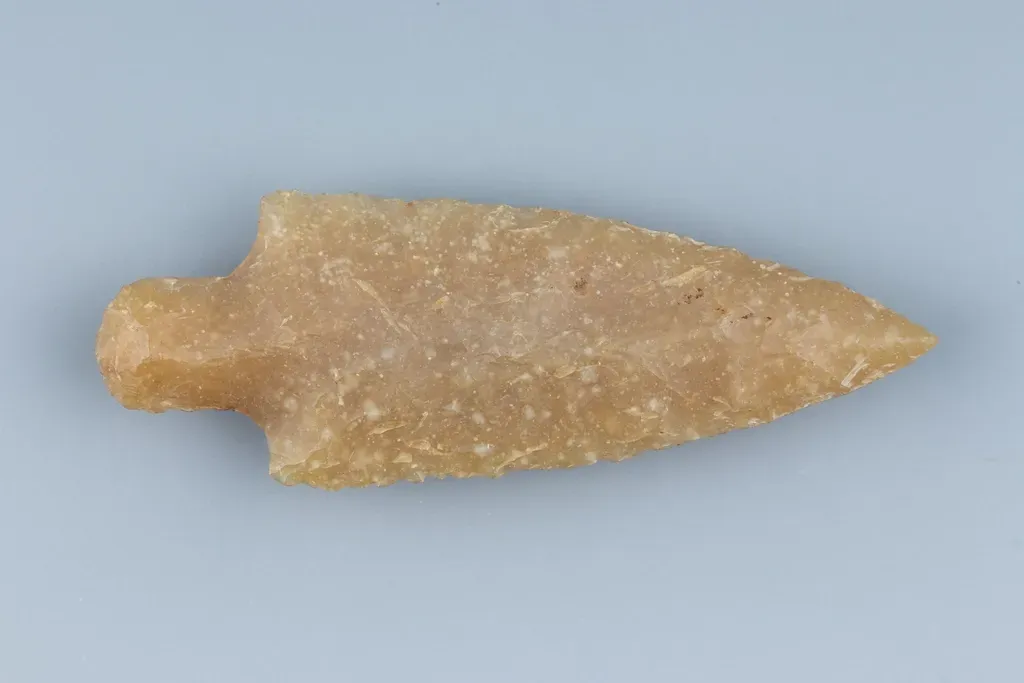 The Hidden Clues in Stone, Clay, and Bone (Image Credits: Rawpixel)