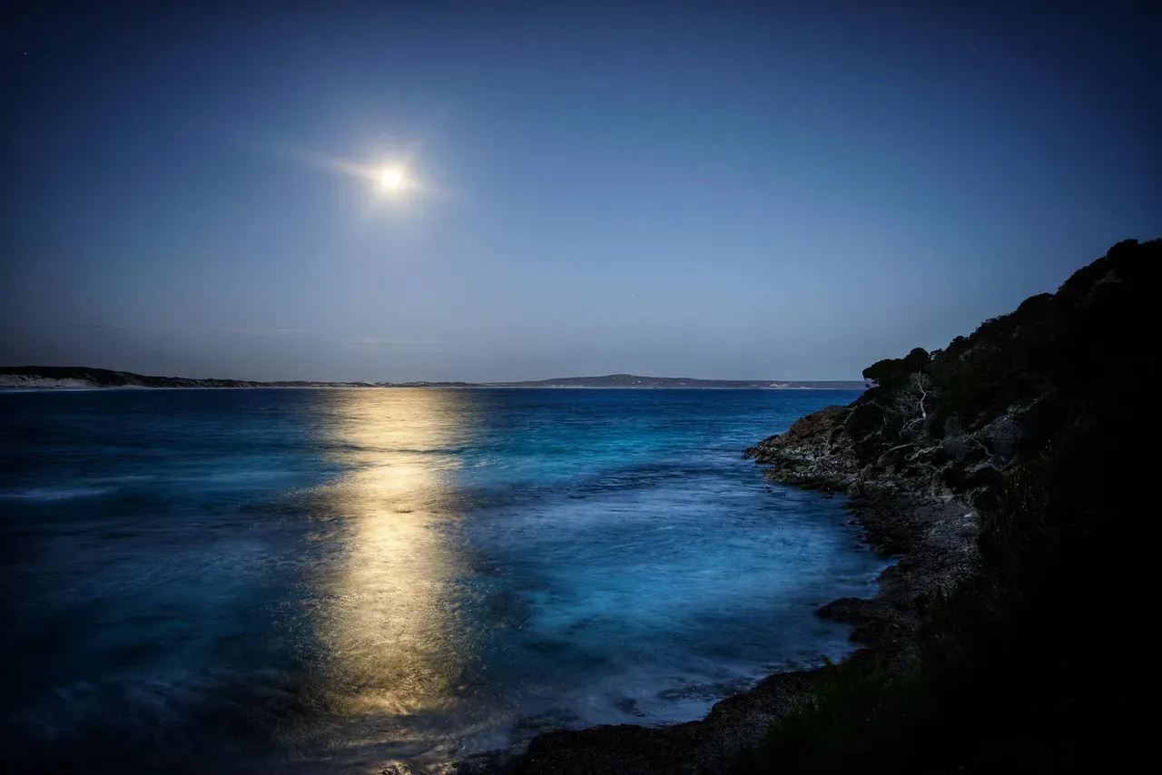 10. The Moon Controls More Than Just The Ocean Tides (Image Credits: Pixabay)