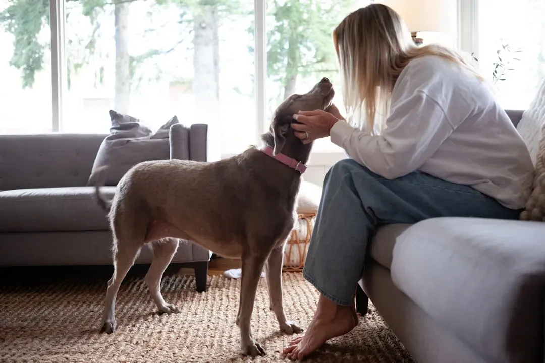 Conclusion: A Humble Take on What Dogs Really Understand (Image Credits: Unsplash)