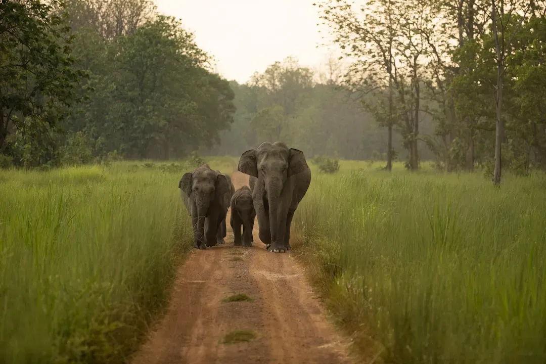 Grief, Empathy, and Emotional Depth (Image Credits: Unsplash)