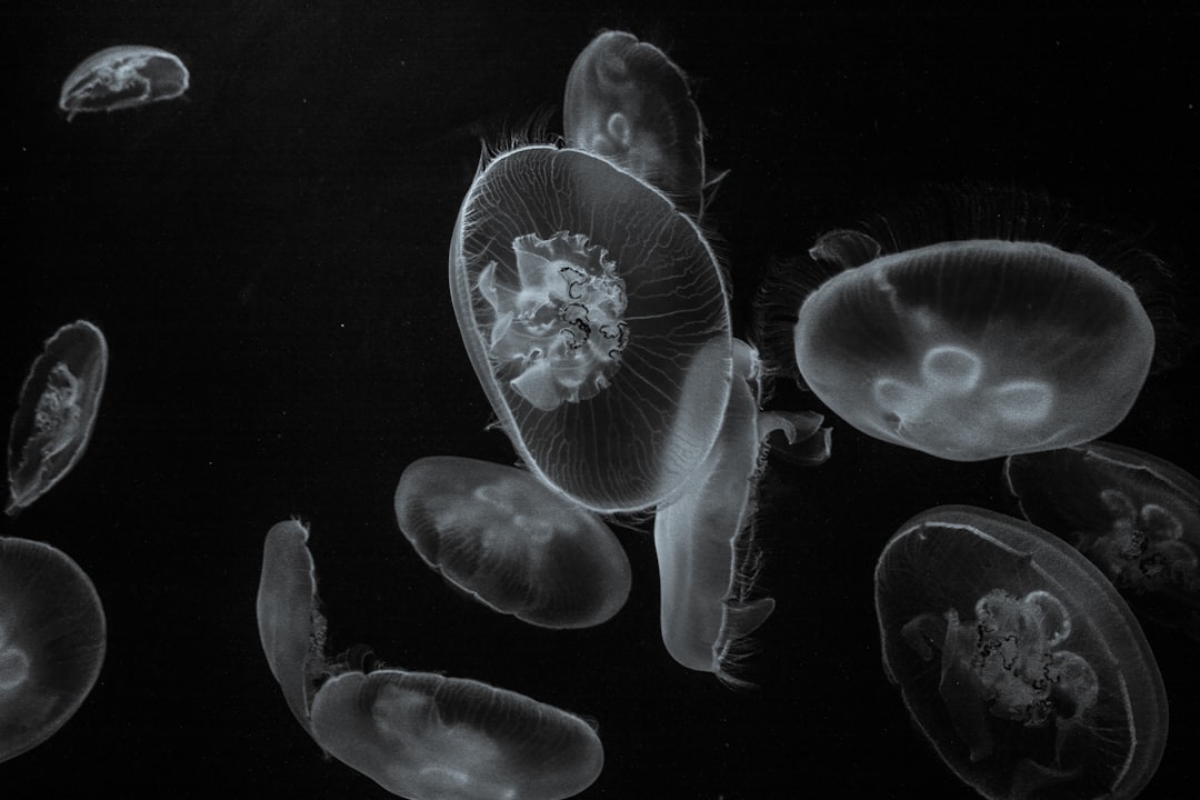 Revolutionary Discovery of Active Life in Extreme Cold (Image Credits: Unsplash)