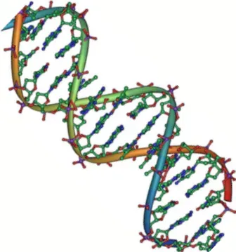DNA and the Molecular Code of Life (Image Credits: Wikimedia)