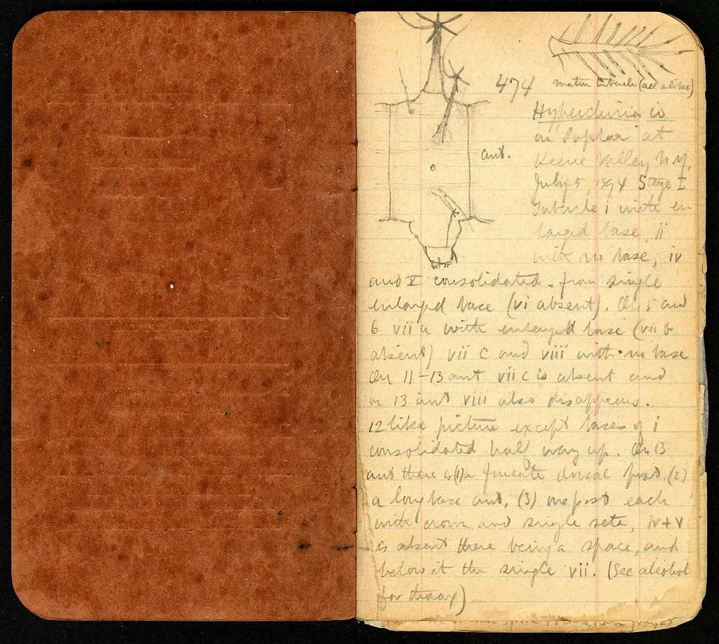 #1 - When "Missing" Looks a Lot Like Selective Erasure (BioDivLibrary, Flickr, CC BY 2.0)