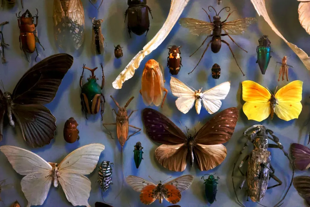 Why Insects Are Suddenly on the Consciousness Radar (Image Credits: Unsplash)
