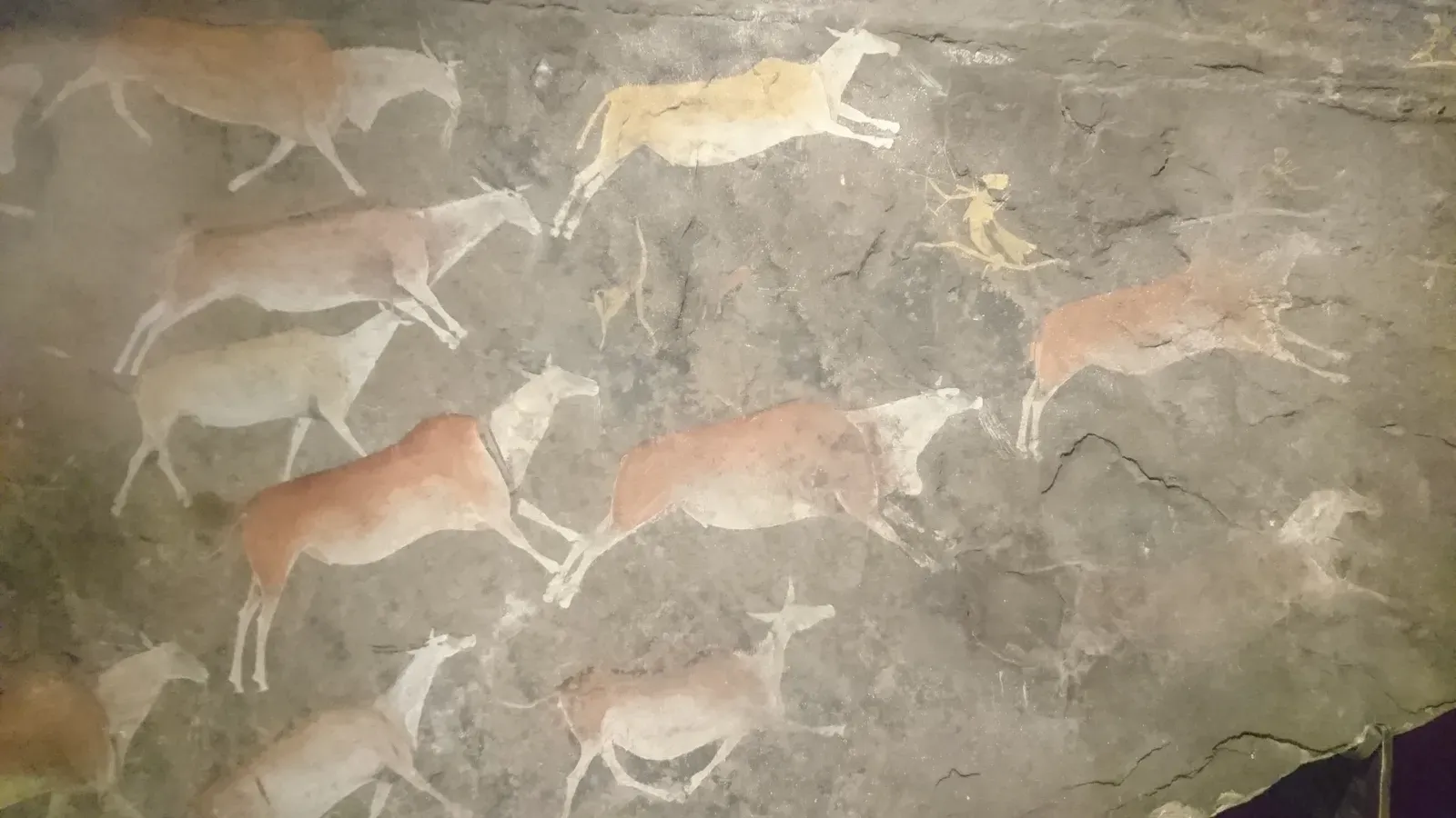 #10 - The "Prehistoric" Rock Art Copied Straight Off a Museum Postcard (By Discott, CC BY-SA 4.0)