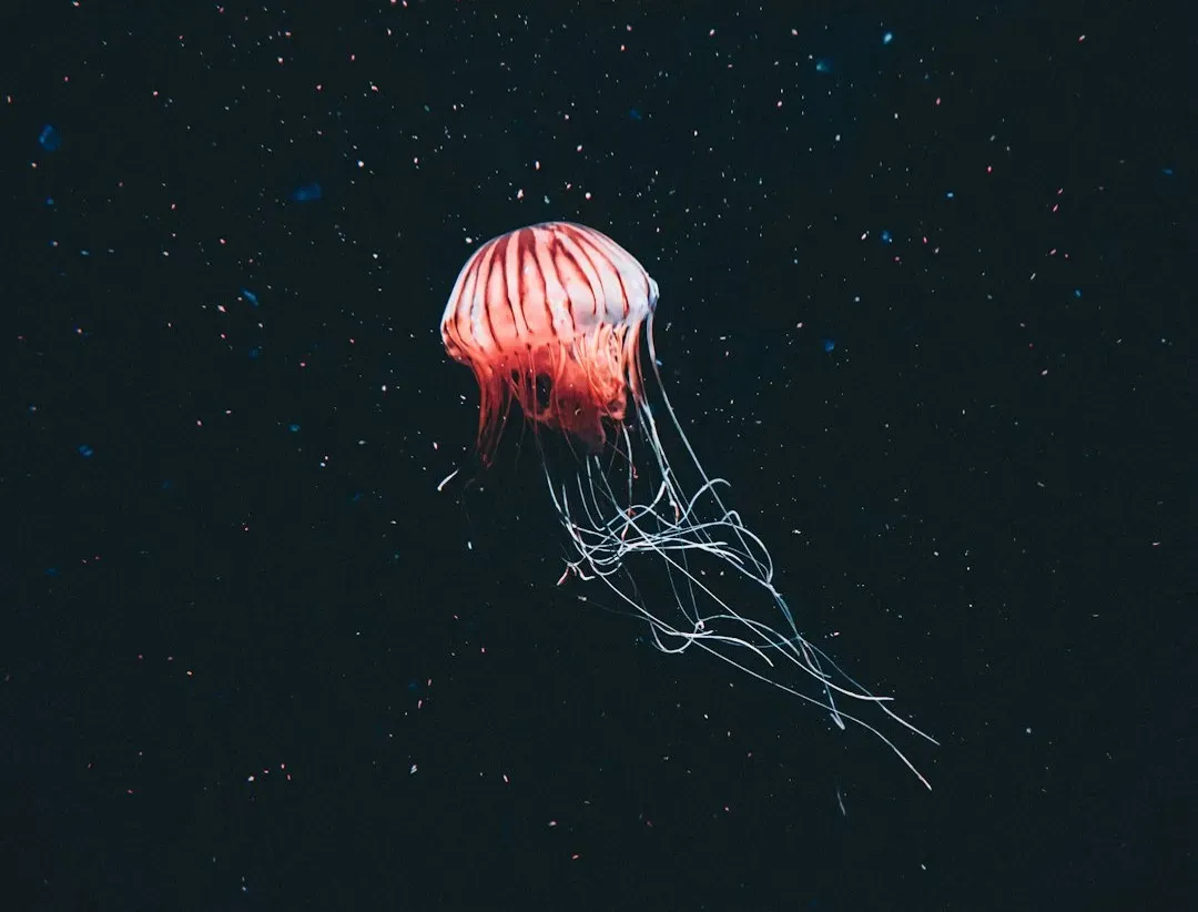 Strange Creatures Built for Crushing Depths (Image Credits: Unsplash)