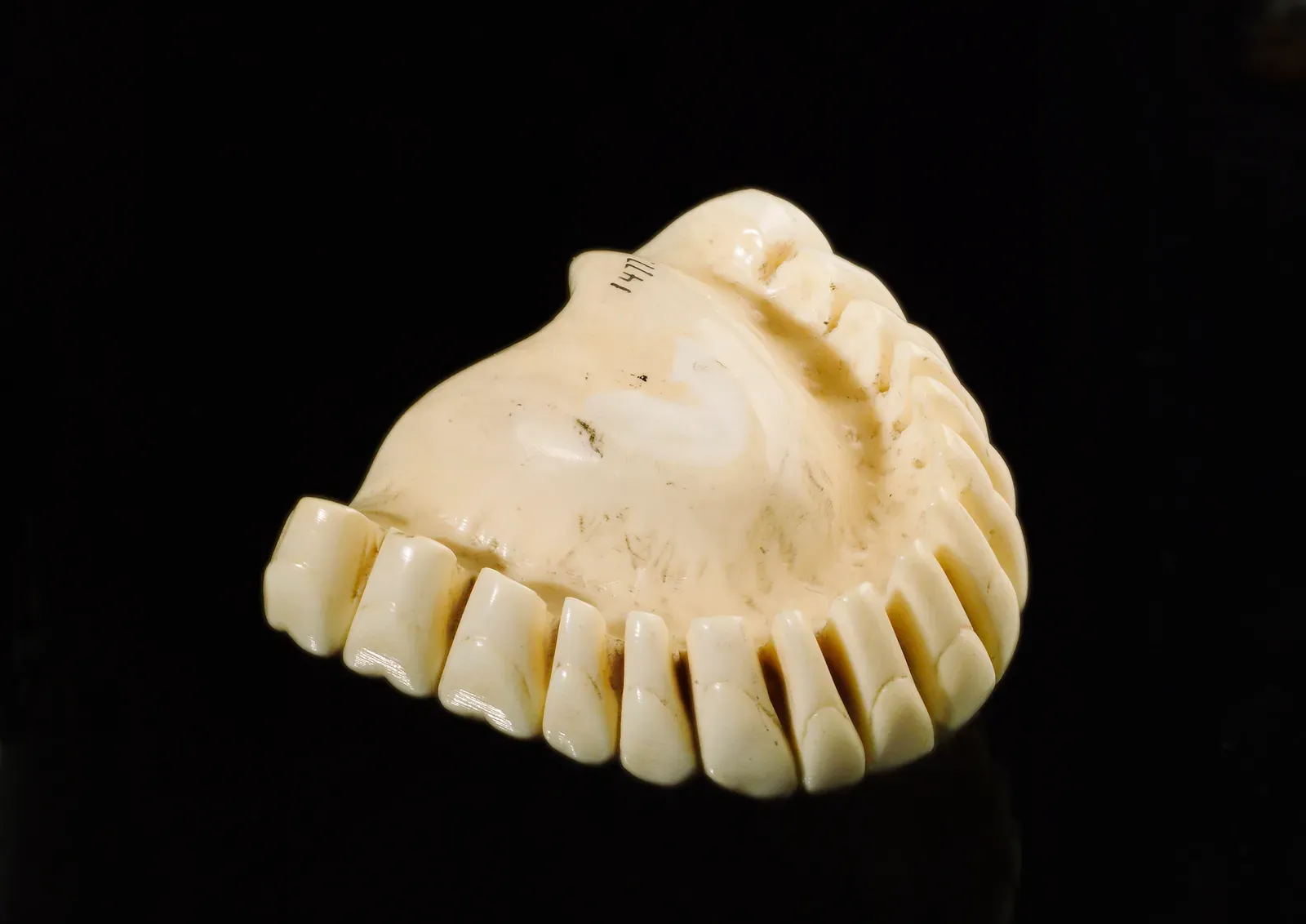 The Myth of the Wooden Teeth - and the Strange Reality (Image Credits: Wikimedia)