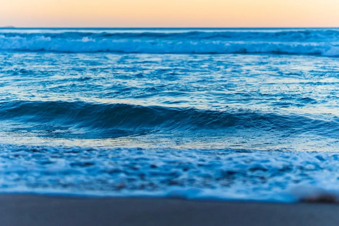 Aquatic Roots: Your Brain Remembers More Than You Think (Image Credits: Unsplash)