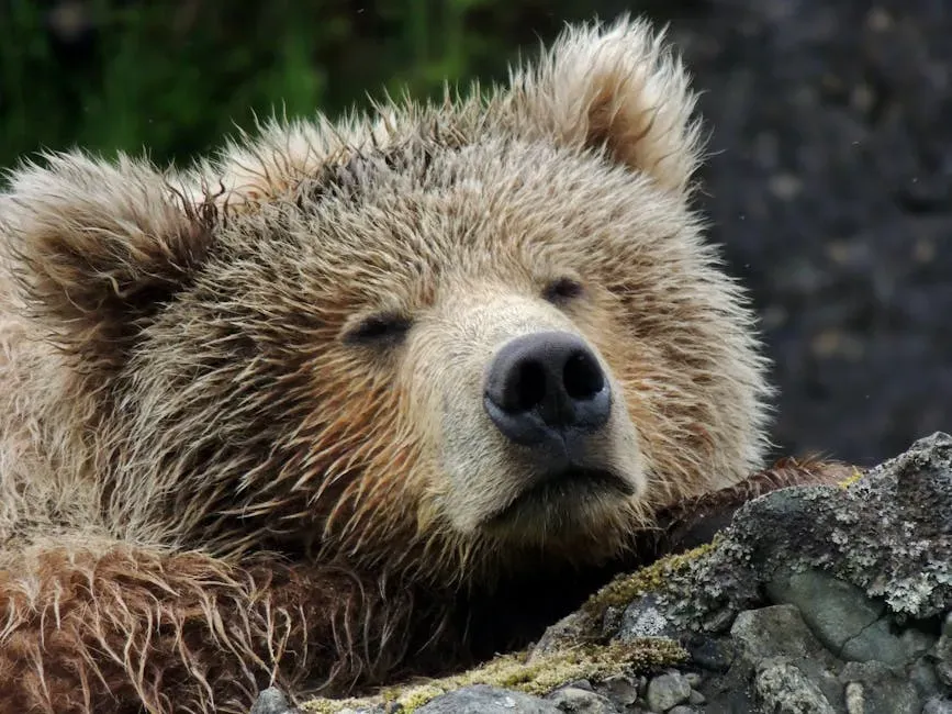 Hibernation and Metabolic Slowdown: The Art of Doing Almost Nothing to Stay Alive (Image Credits: Pexels)