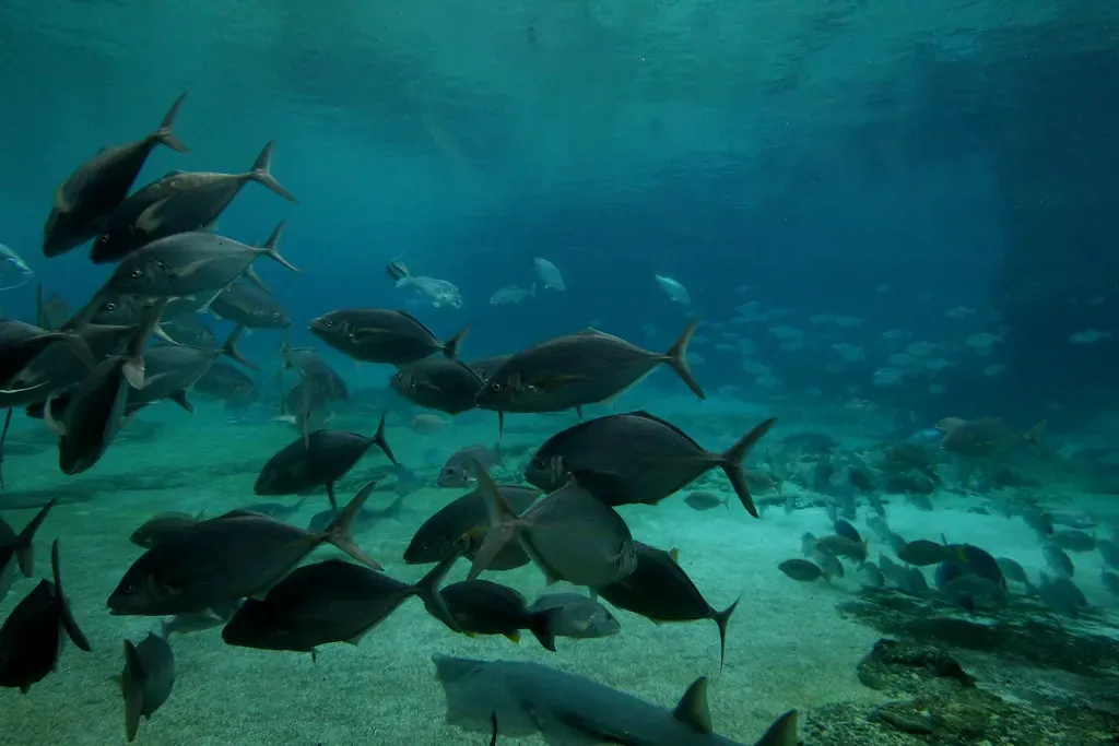 1. Antifreeze Blood: How Polar Fish Keep Swimming in Icy Seas (Phalinn Ooi, Flickr, CC BY 2.0)