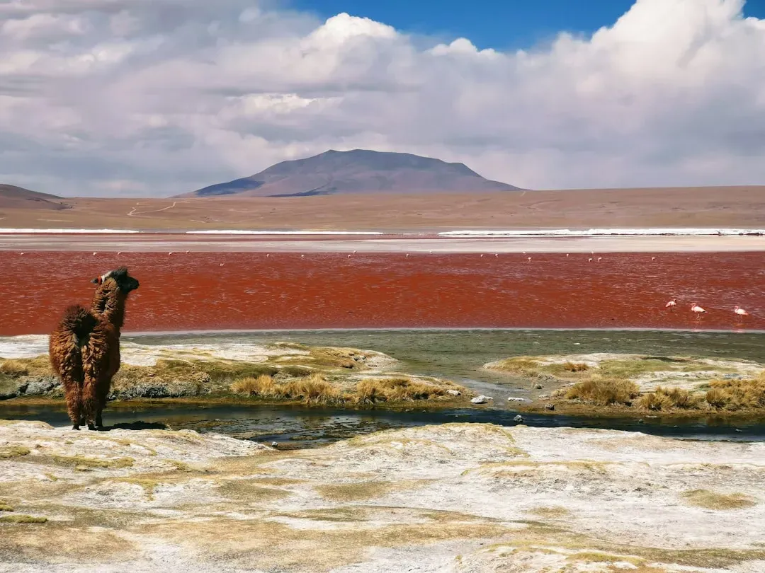 Conclusion – What These Lakes Quietly Teach You About Water and Life (Image Credits: Unsplash)