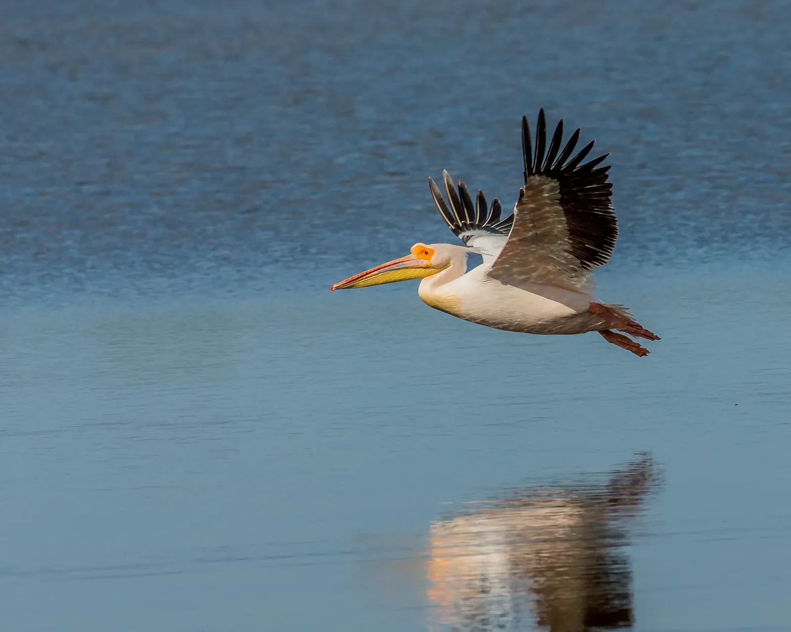 Conclusion: The Comfort of Not Knowing Everything (Image Credits: Wikimedia)