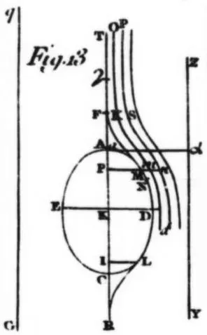 Wave Function Collapse: Does Reality Need an Observer? (Image Credits: Wikimedia)