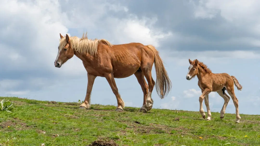 Horses: A Complete Evolutionary Sequence (Image Credits: Unsplash)