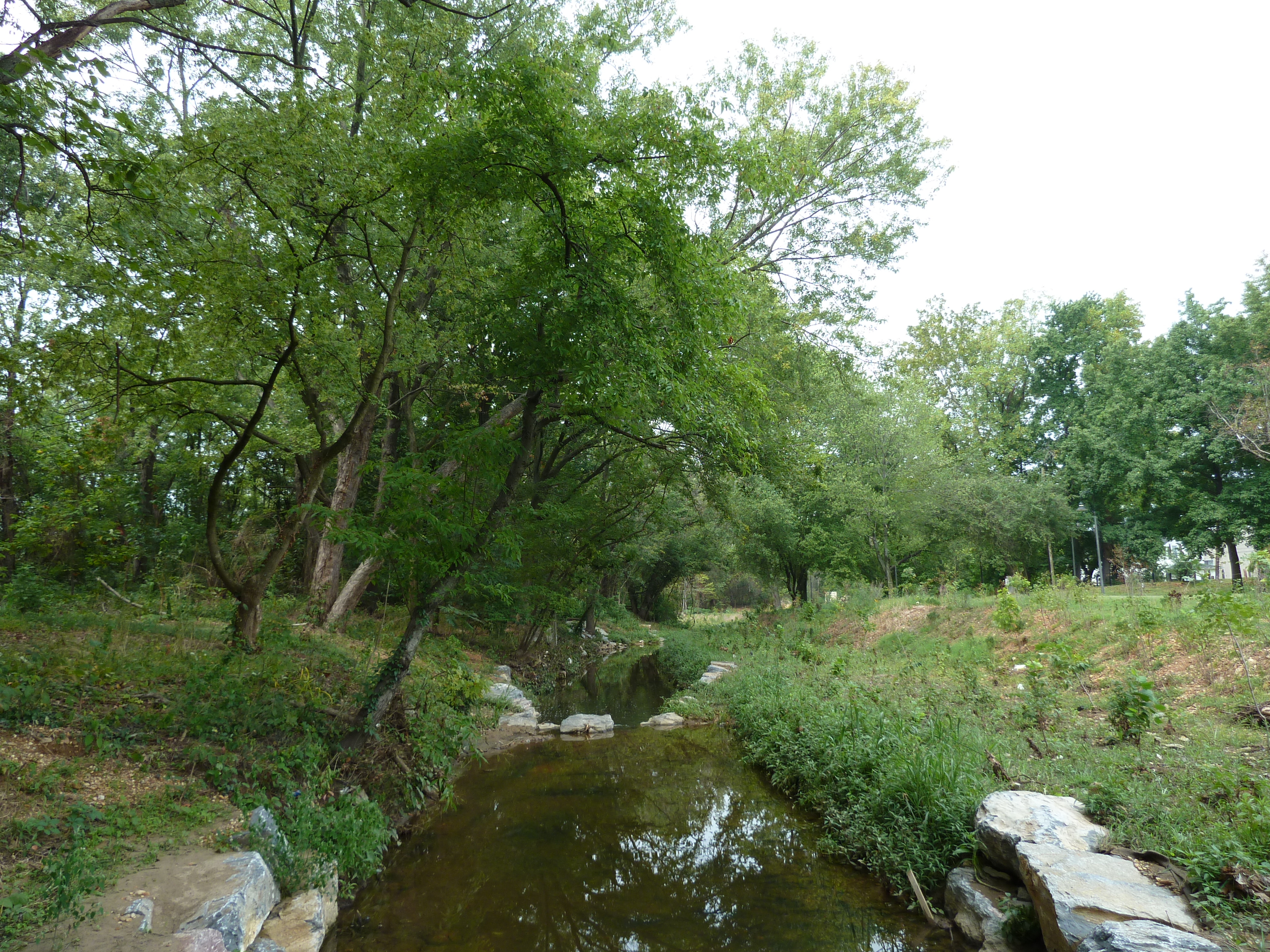 Conclusion (Image Credits: Wikimedia)