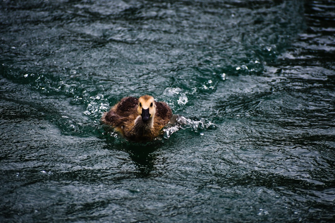 The Hidden Risks (Image Credits: Unsplash)