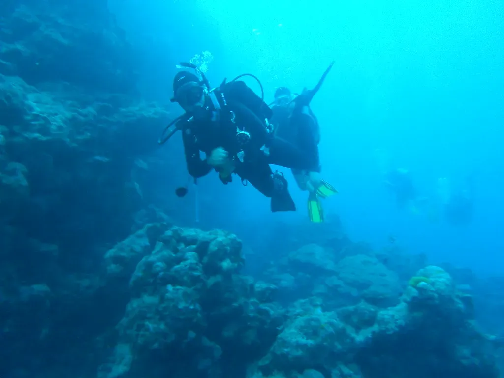 The Ship That Sank With a Controversial Cargo (Luigi Selmi, Flickr, CC BY-SA 2.0)