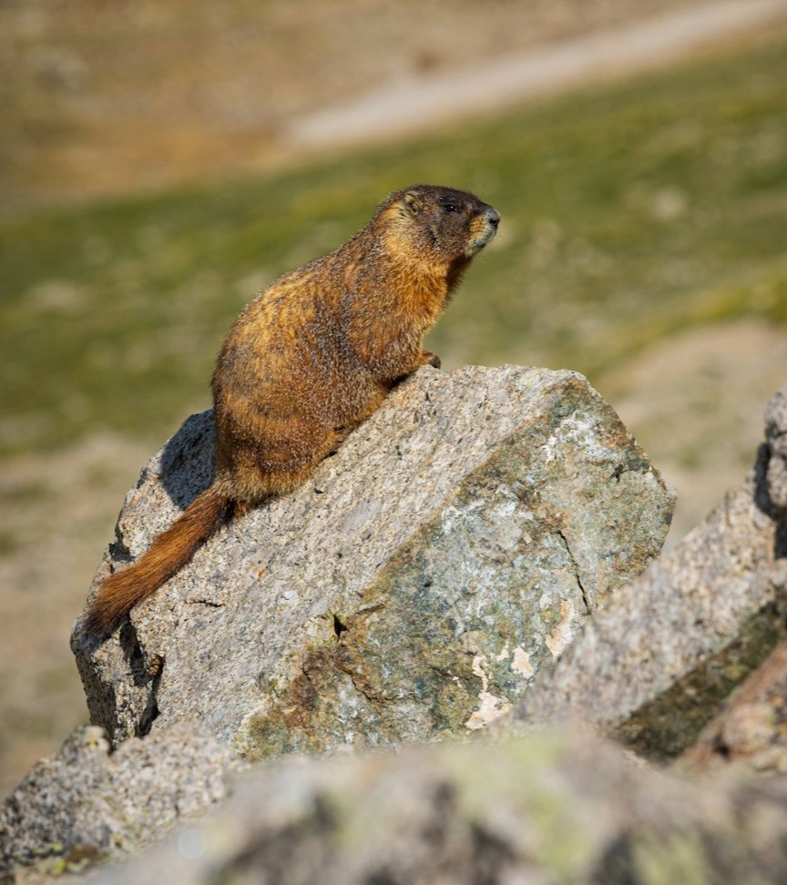 Global Perspectives (Image Credits: Unsplash)