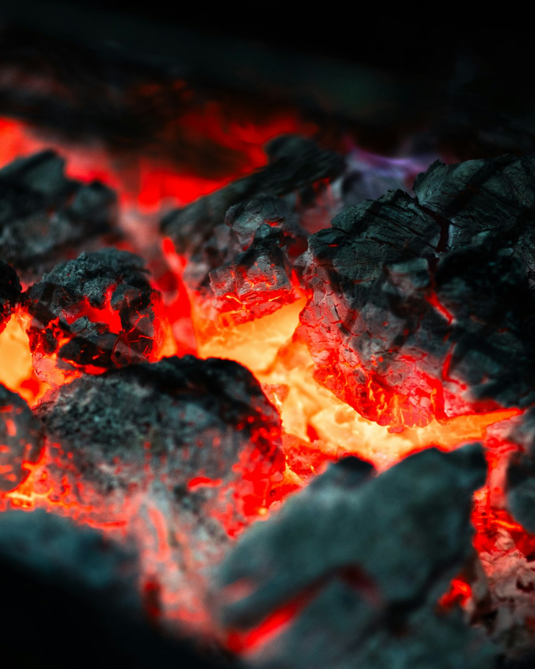 The Hidden Clues (Image Credits: Unsplash)