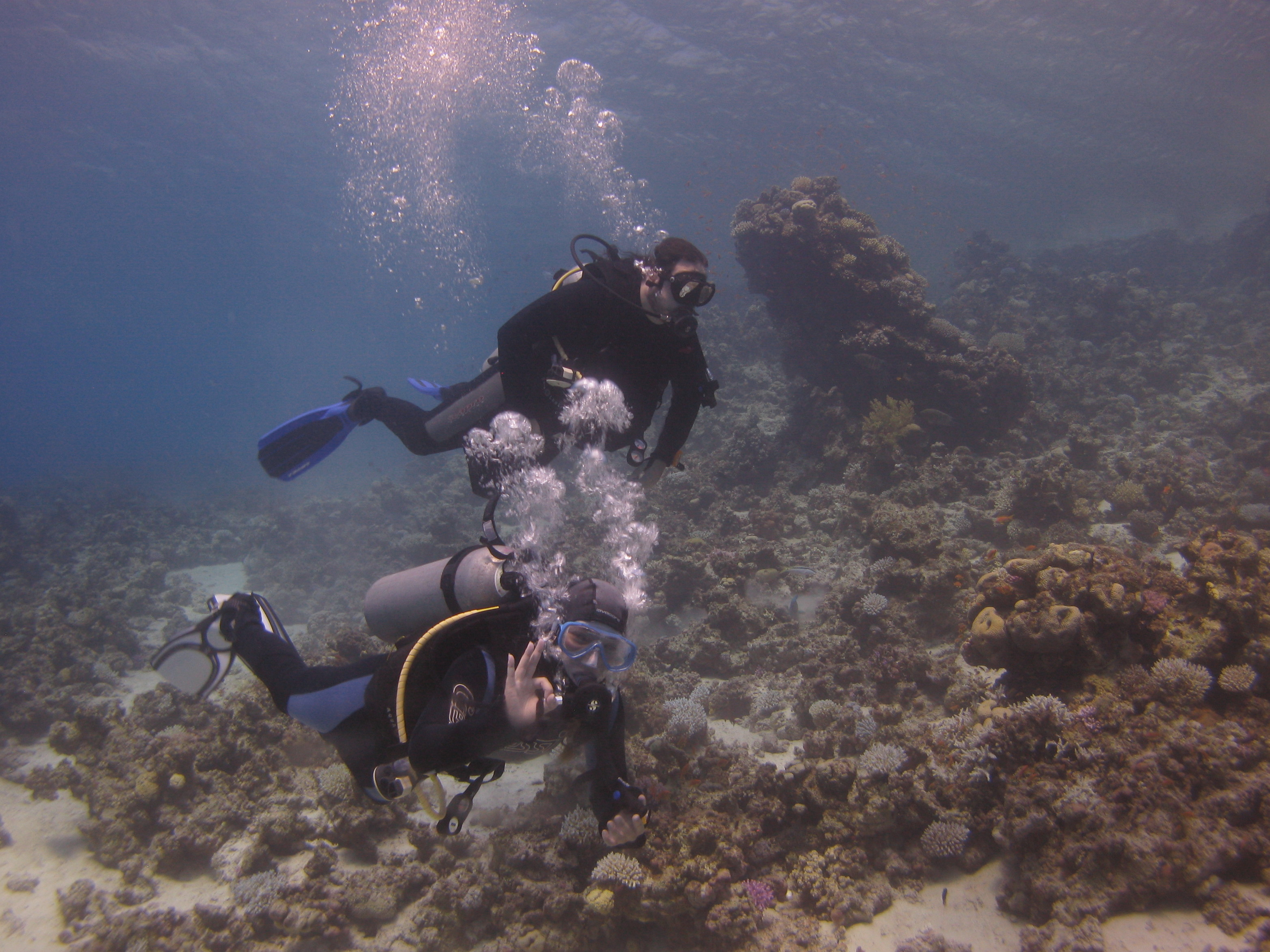 Take Part: A Simple Call to Action (Image Credits: Wikimedia)