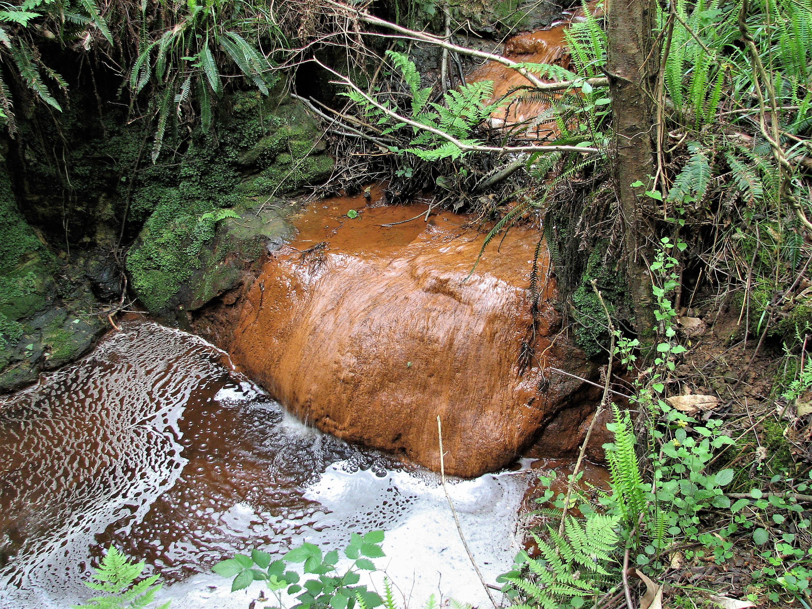 Munising Falls, Michigan - The Sandstone Filter (Image Credits: Wikimedia)