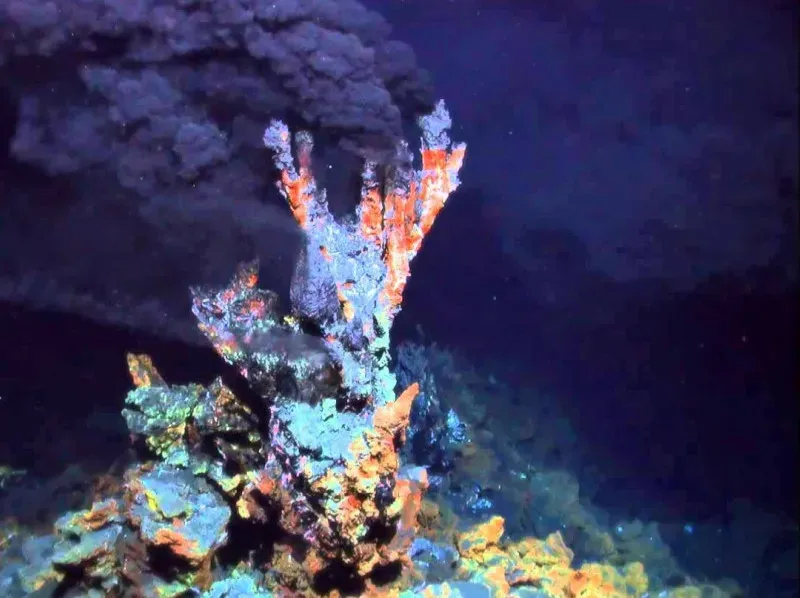 The Alien Ecosystems of Hydrothermal Vents (Image Credits: Flickr)