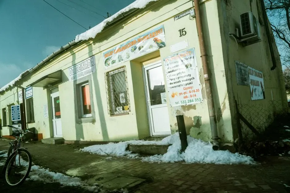 #9 The Family-Owned Corner Shop in a City That Moved On (Image Credits: Pexels)