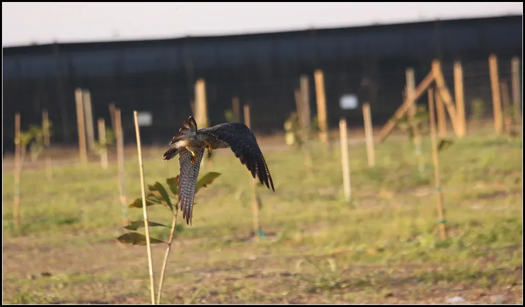 How Air Resistance Changes The Game (cuatrok77, Flickr, CC BY-SA 2.0)