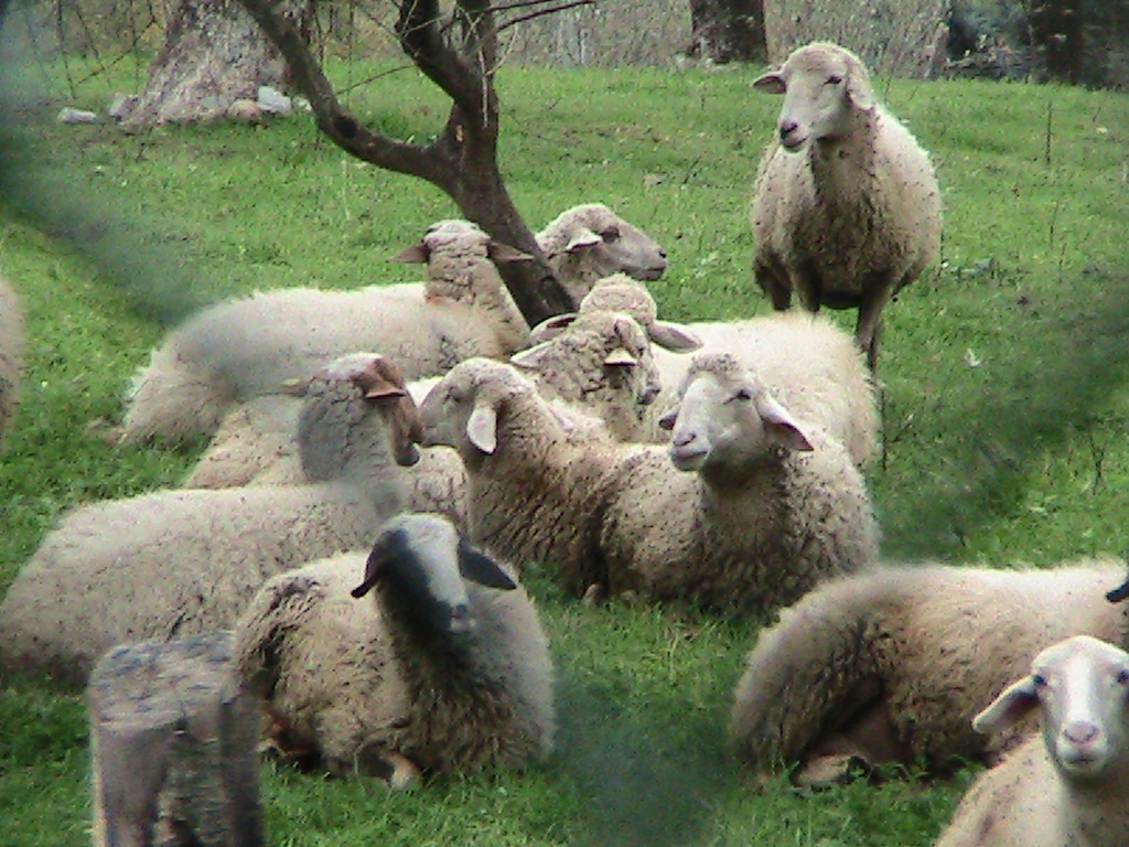 Scientific Skepticism and Challenges (Image Credits: Flickr)