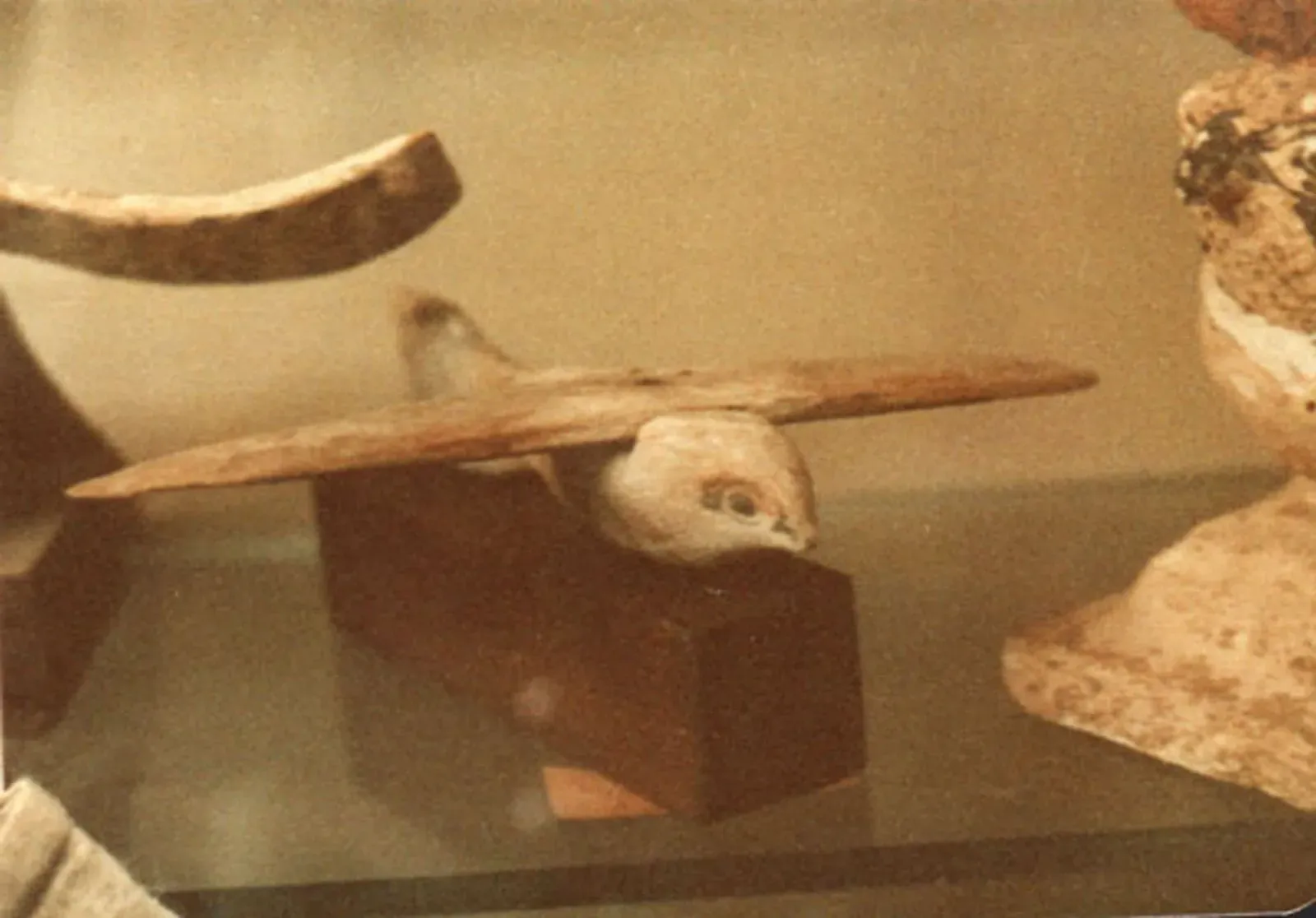 #9 The Saqqara Bird: Early Model Airplane or Symbolic Toy? (the picture was taken by Dawoud Khalil Messiha who is sending this picture by himself. The picture was not taken from any URL or other sources as it is the work of Dawoud Khalil Messiha., Public domain)