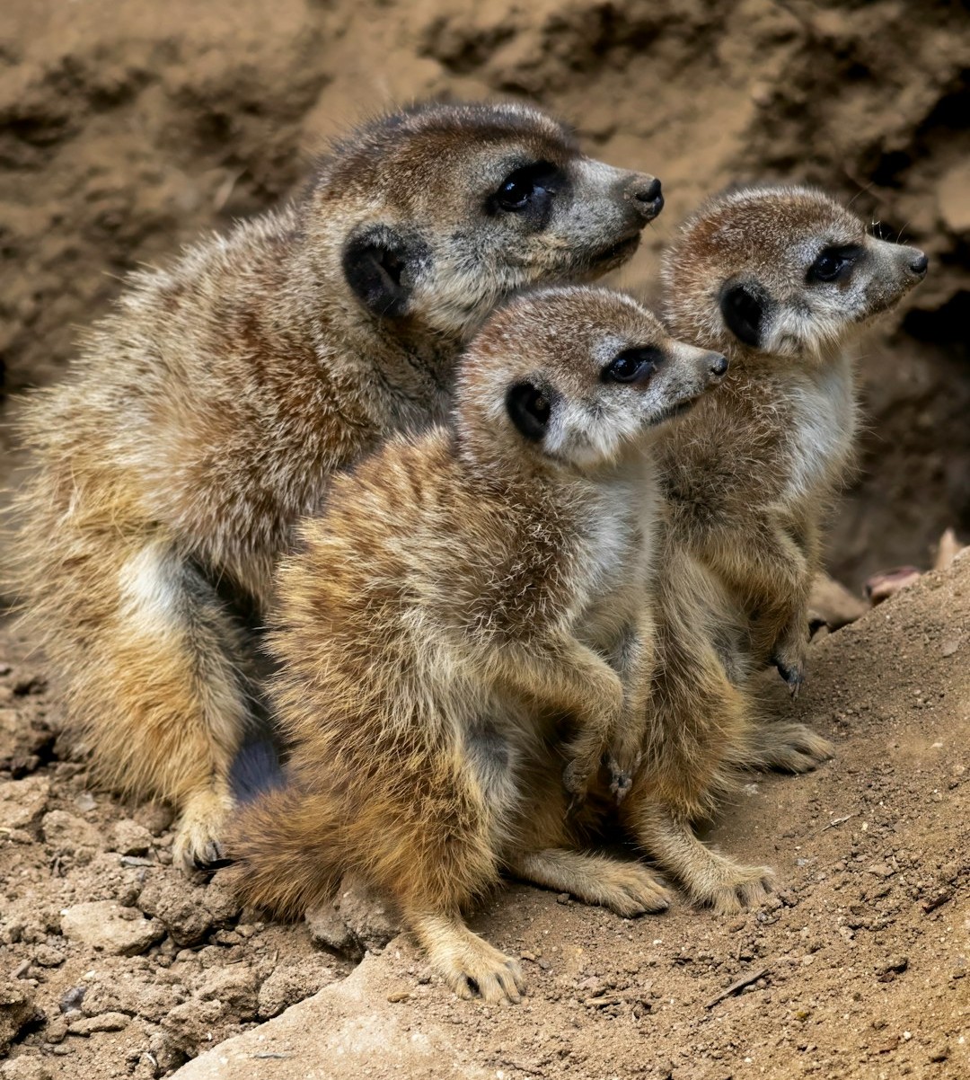 The Hidden Clues (Image Credits: Unsplash)