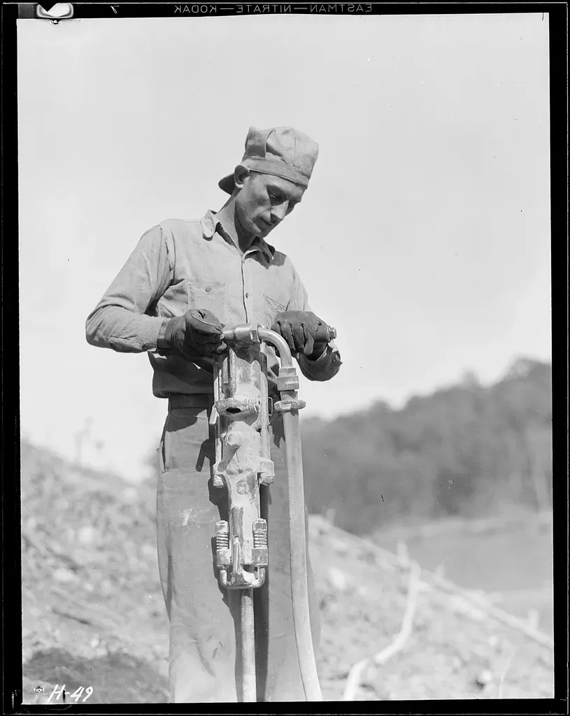 Why It Matters: Memory, Identity, and Everyday Choices (Image Credits: Rawpixel)