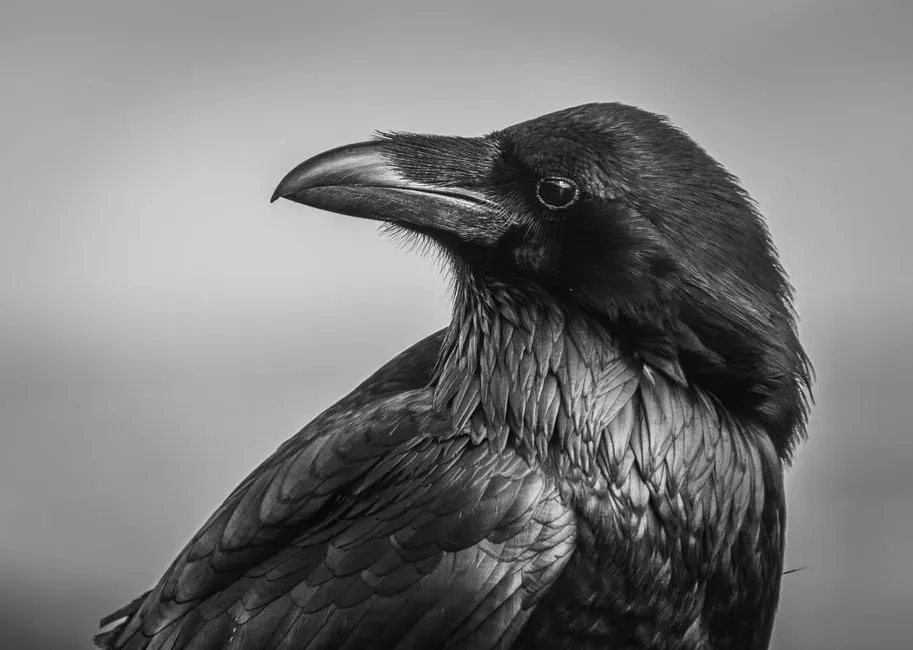 Limits, Open Questions, and Why It Still Matters (Image Credits: Pexels)